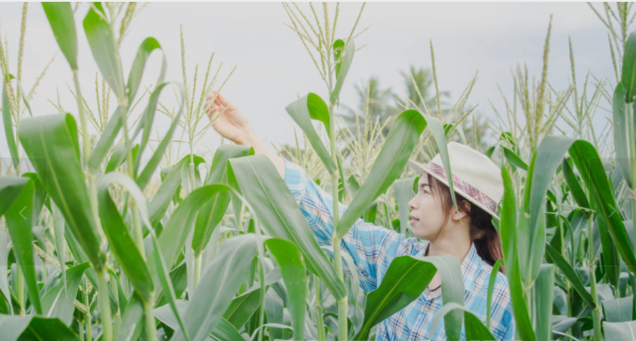 微信截图_20190430110240.png
