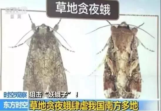 微信图片_20190603090248.jpg