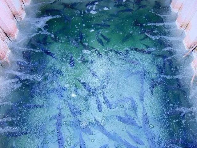 微信图片_20190611133527.jpg